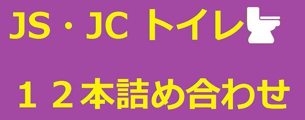 Read more about the article 【豪華】JS・JC トイレ盗撮１２本詰め合わせ【高画質】