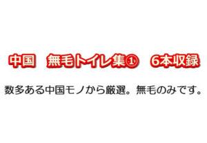 Read more about the article 顔アリ中国トイレ【無毛】のみ厳選集①《ウンコあり6人分クッキリ》