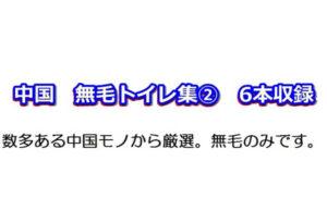 Read more about the article 顔アリ中国トイレ【無毛】のみ厳選集②《アップで見る6人分クッキリ》