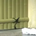美魔女たちの熟れた身体を堪能