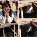 制服JKパンチラ逆さ撮り 夢の国編 No.9