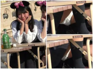 制服JKパンチラ逆さ撮り 夢の国編 No.9