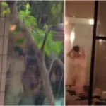 研修風呂　植木の外から・・・①