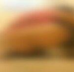 超～ろりっこトイレ