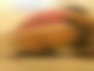 超~ろりっこトイレ